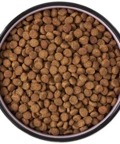 Frisco Paris Non-skid Ceramic Cat Dish, 1.62 Cup -PetNest Shop 256117 PT5. SY630 V1615311392