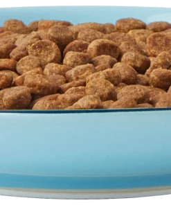 Frisco New York Non-skid Ceramic Cat Dish, 0.62 Cup 14 Frisco New York Non-skid Ceramic Cat Dish, 0.62 Cup -PetNest Shop 256119 PT5. SY630 V1618494742