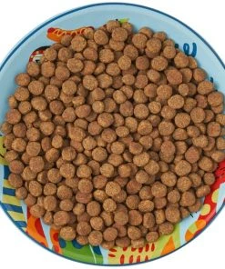 Frisco New York Non-skid Ceramic Cat Dish, 0.62 Cup 15 Frisco New York Non-skid Ceramic Cat Dish, 0.62 Cup -PetNest Shop 256119 PT6. SY630 V1617196905