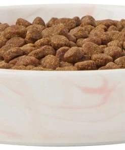 Frisco Marble Design Non-skid Ceramic Cat Dish, 0.75 Cup -PetNest Shop 256127 PT3. SY630 V1615321300