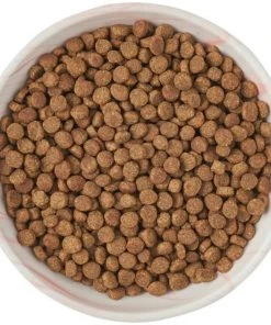 Frisco Marble Design Non-skid Ceramic Cat Dish, 0.75 Cup -PetNest Shop 256127 PT5. SY630 V1615321285