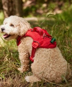 Frisco Outdoor Premium Ripstop Nylon Dog Harness with Pocket -PetNest Shop 256481 PT5. SY630 V1625589623