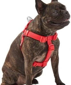Frisco Outdoor Solid Textured Waterproof Stink Proof PVC Dog Harness -PetNest Shop 256518 PT2. SY630 V1625164704