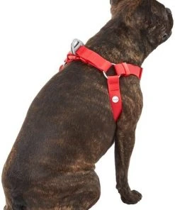 Frisco Outdoor Solid Textured Waterproof Stink Proof PVC Dog Harness -PetNest Shop 256518 PT3. SY630 V1625164999