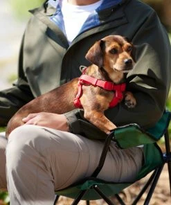 Frisco Outdoor Solid Textured Waterproof Stink Proof PVC Dog Harness -PetNest Shop 256518 PT5. SY630 V1625587387