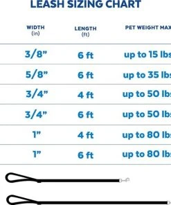 Frisco Outdoor Solid Textured Waterproof Stink Proof PVC Dog Leash -PetNest Shop 256546 PT6. SY630 V1630005672