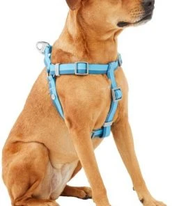 Frisco Outdoor Two Tone Waterproof Stinkproof PVC Dog Harness -PetNest Shop 256565 PT2. SY630 V1625165009