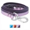 Frisco Outdoor Two Toned Waterproof Stink Proof PVC Dog Leash -PetNest Shop 256607 MAIN. SY630 V1626892880