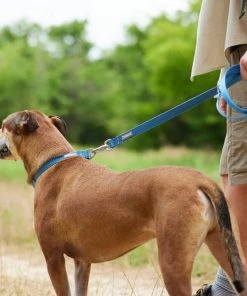 Frisco Outdoor Heathered Nylon Leash -PetNest Shop 256647 PT5. SY630 V1625588443