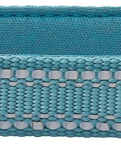 Frisco Outdoor Nylon Reflective Comfort Padded Dog Collar -PetNest Shop 256658 PT2. SY630 V1625158075