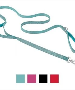 Frisco Outdoor Nylon Reflective Comfort Padded Dog Leash
