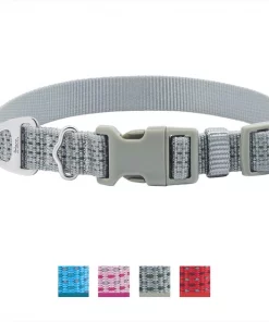 Frisco Outdoor Ultra Reflective Nylon Dog Collar