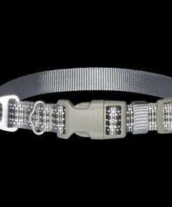 Frisco Outdoor Ultra Reflective Nylon Dog Collar -PetNest Shop 256693 PT3. SY630 V1626794837