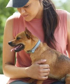 Frisco Outdoor Comfort Print Nylon Padded Dog Collar -PetNest Shop 256713 PT5. SY630 V1625587063