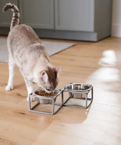 Frisco Diamond Dog & Cat Double Bowl Diner -PetNest Shop 257147 PT5. SY630 V1615989105