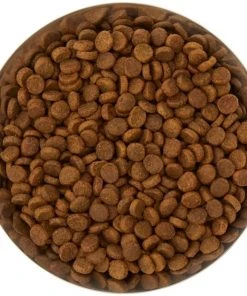 Frisco Flare Dog & Cat Bowl -PetNest Shop 257162 PT4. SY630 V1612366692