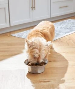 Frisco Flare Dog & Cat Bowl -PetNest Shop 257162 PT8. SY630 V1615840471