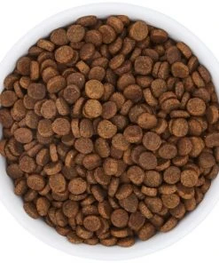 Frisco Bohemian Dog & Cat Bowl -PetNest Shop 257195 PT4. SY630 V1615311089