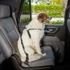 Frisco Adjustable Dog Seatbelt Tether