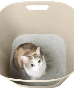 Frisco Leaf High-Sided Cat Litter Box, Large -PetNest Shop 258782 PT2. SY630 V1615842997