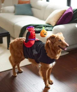Frisco Headless Rider Dog & Cat Costume -PetNest Shop 260910 PT8. SY630 V1624461040