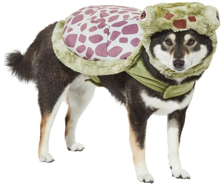 Frisco Sea Turtle Dog & Cat Costume 3 Frisco Sea Turtle Dog & Cat Costume