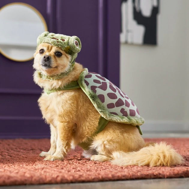 Frisco Sea Turtle Dog & Cat Costume 9 Frisco Sea Turtle Dog & Cat Costume - Image 7