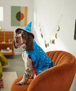 Frisco Wizard Dog & Cat Costume -PetNest Shop 260962 PT8. SY630 V1624335469