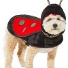 Frisco Ladybug Dog & Cat Costume 1 Frisco Ladybug Dog & Cat Costume -PetNest Shop 260971 MAIN. SY630 V1624398246