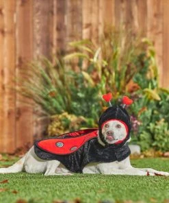 Frisco Ladybug Dog & Cat Costume -PetNest Shop 260971 PT8. SY630 V1624401658