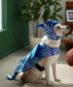 Frisco Dragon Dog & Cat Costume -PetNest Shop 260973 PT8. SY630 V1624341507