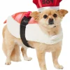 Frisco Sushi Dog & Cat Costume -PetNest Shop 260983 MAIN. SY630 V1624398867