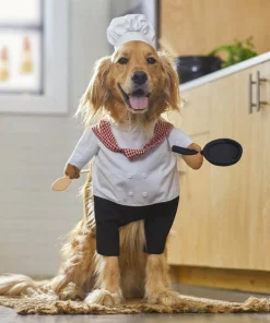 Frisco Front Walking Chef Dog & Cat Costume -PetNest Shop 261002 PT8. SY630 V1624366984