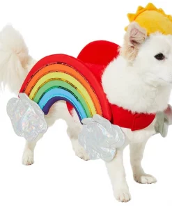 Frisco Rainbow Dog & Cat Costume