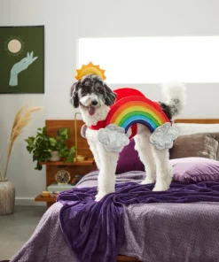 Frisco Rainbow Dog & Cat Costume -PetNest Shop 261019 PT8. SY630 V1624370951