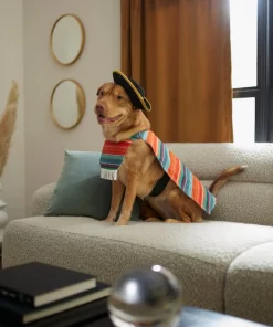 Frisco Serape Dog & Cat Costume -PetNest Shop 261041 PT8. SY630 V1624339394