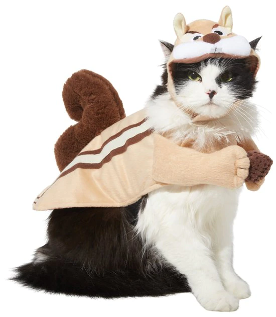 Frisco Chipmunk Dog & Cat Costume 3 Frisco Chipmunk Dog & Cat Costume
