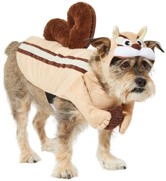 Frisco Chipmunk Dog & Cat Costume 5 Frisco Chipmunk Dog & Cat Costume - Image 3