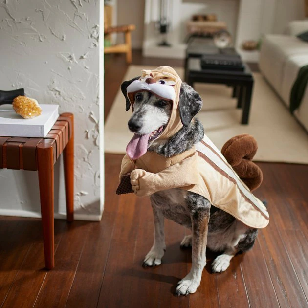 Frisco Chipmunk Dog & Cat Costume 10 Frisco Chipmunk Dog & Cat Costume - Image 8