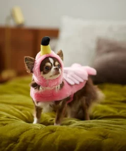 Frisco Flamingo Dog & Cat Costume 15 Frisco Flamingo Dog & Cat Costume -PetNest Shop 261054 PT8. SY630 V1624335210