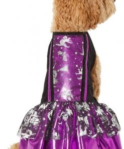 Frisco Midnight Witch Dog & Cat Costume -PetNest Shop 261058 PT2. SY630 V1625076849
