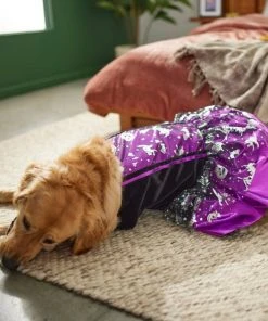 Frisco Midnight Witch Dog & Cat Costume -PetNest Shop 261058 PT8. SY630 V1624400298