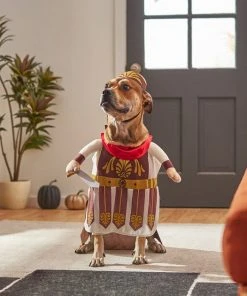 Frisco Front Walking Warrior Dog & Cat Costume -PetNest Shop 261086 PT8. SY630 V1624402357