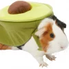 Frisco Avocado Guinea Pig Costume, One Size -PetNest Shop 261095 MAIN. SY630 V1624414703