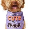 Frisco Too Cute to Spook Dog & Cat Bandana -PetNest Shop 261098 MAIN. SY630 V1624305781
