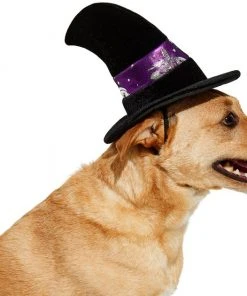 Frisco Midnight Witch Dog & Cat Hat -PetNest Shop 261106 PT3. SY630 V1624306178