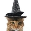 Frisco Cobweb Witch Dog & Cat Hat -PetNest Shop 261109 MAIN. SY630 V1625075886