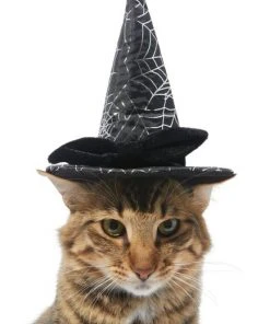 Frisco Cobweb Witch Dog & Cat Hat