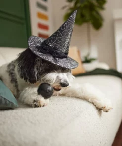 Frisco Cobweb Witch Dog & Cat Hat -PetNest Shop 261109 PT8. SY630 V1624454622
