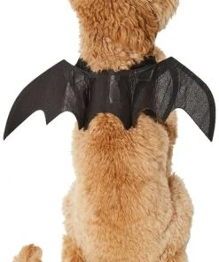 Frisco Bat Wings Dog & Cat Costume -PetNest Shop 261113 PT2. SY630 V1625077070